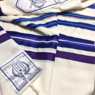 Bnei Ohr Blue Medley